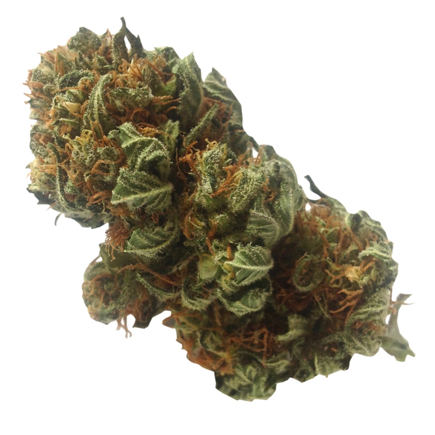 PREMIUM FLOWER